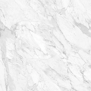 Picture of Anatolia Tile & Stone - La Marca 32 x 32 Statuarietto Polished