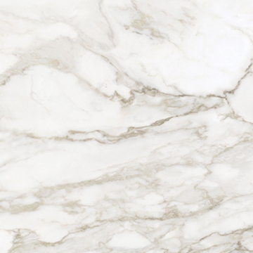 Picture of Anatolia Tile & Stone - La Marca 32 x 32 Calacatta Paonazzo Polished