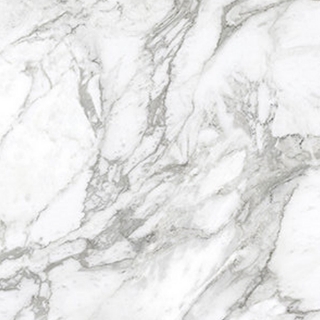 Picture of Anatolia Tile & Stone - La Marca 24 x 24 Arabescato Honed