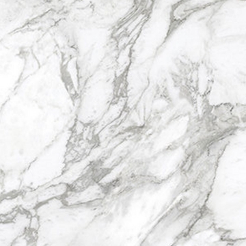 Picture of Anatolia Tile & Stone - La Marca 24 x 24 Arabescato Honed