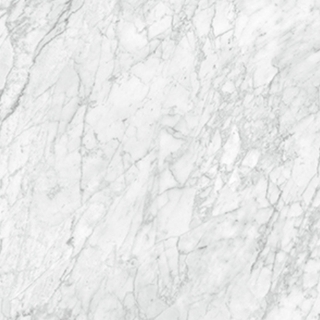 Picture of Anatolia Tile & Stone - La Marca 24 x 24 Carrara Gioia Honed