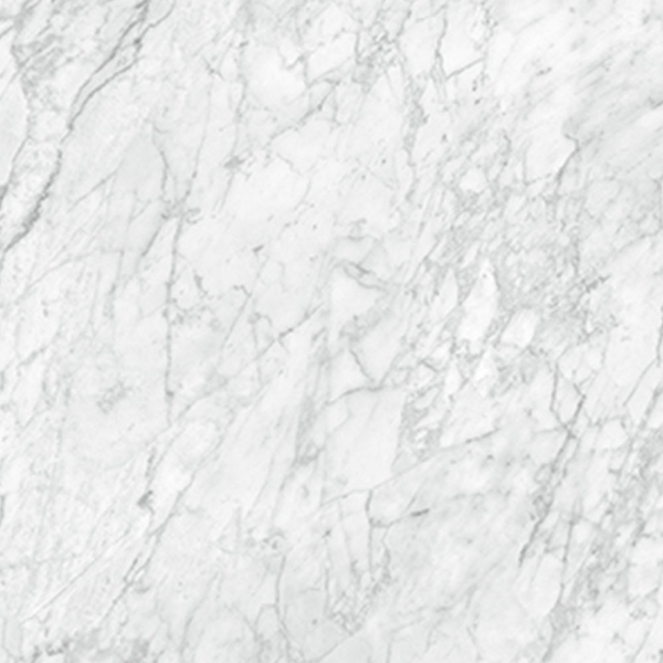 Picture of Anatolia Tile & Stone - La Marca 24 x 24 Carrara Gioia Honed