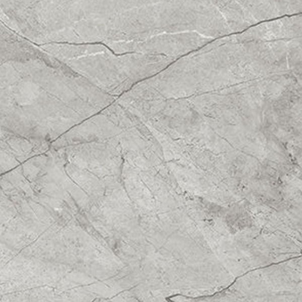 Picture of Anatolia Tile & Stone - La Marca 24 x 24 Paradiso Argento Honed