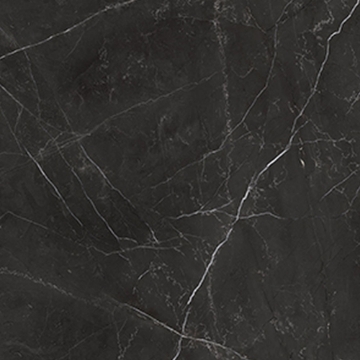 Picture of Anatolia Tile & Stone - La Marca 24 x 24 Nero Venato Honed