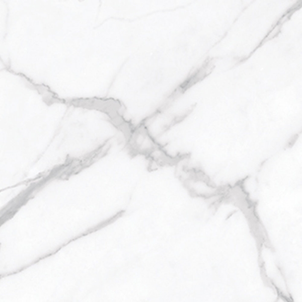 Picture of Anatolia Tile & Stone - La Marca 24 x 24 Statuario Nuovo Honed