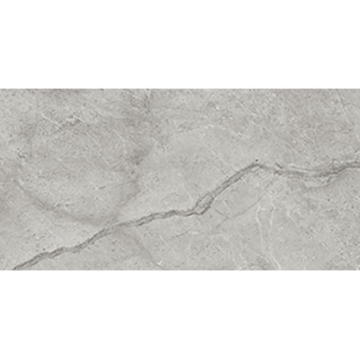 Picture of Anatolia Tile & Stone - La Marca 12 x 24 Paradiso Argento Polished