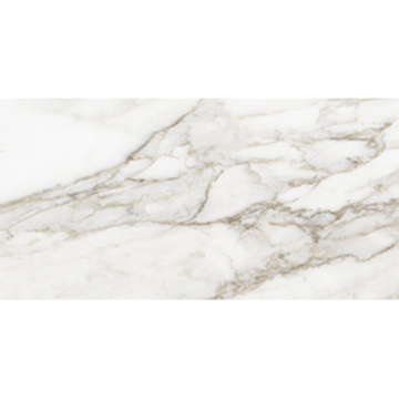 Picture of Anatolia Tile & Stone - La Marca 12 x 24 Calacatta Paonazzo Honed