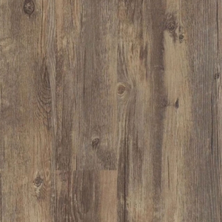 Picture of Shaw Builder - QD Expo 6 Montreal