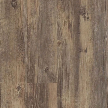 Picture of Shaw Builder - QD Expo 6 Montreal