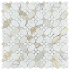 Picture of Elon Tile & Stone - Silhouette Mosaics Calacatta Gold White Thassos Crema Marfil