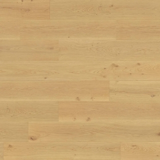 Picture of Montserrat - Compass Garvey