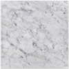 Picture of Elon Tile & Stone - Marble 12 x 12 Bianco Carrara Honed