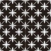 Picture of Elon Tile & Stone - Barcelona Star Black