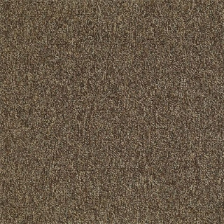 Picture of Philadelphia Commercial by Shaw - Multiplicity 18 x 36 Exuberance