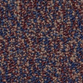 Picture of Philadelphia Commercial by Shaw - Lewis Exercise