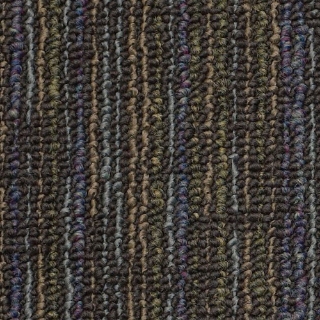 Picture of Philadelphia Commercial by Shaw - Amendment Magnetize