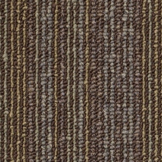 Picture of Philadelphia Commercial by Shaw - Preamble Charged