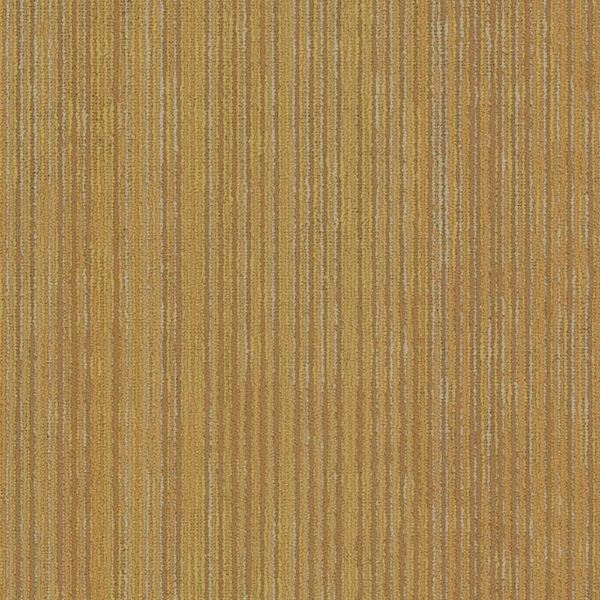 Picture of Philadelphia Commercial by Shaw - Cipher 18 x 36 Vector