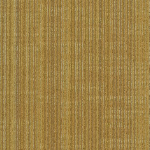 Picture of Philadelphia Commercial by Shaw - Encode 18 x 36 Vector