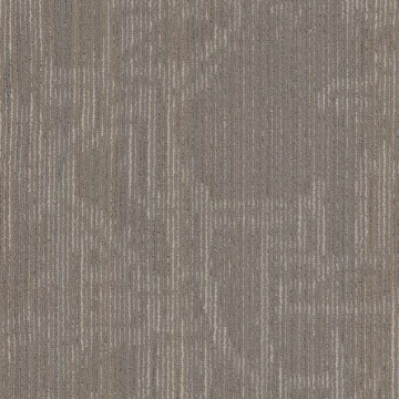 Picture of Philadelphia Commercial by Shaw - Encrypt 18 x 36 Symbols