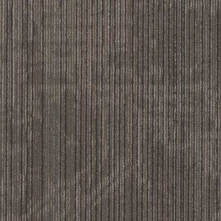 Picture of Philadelphia Commercial by Shaw - Encrypt 18 x 36 Digital