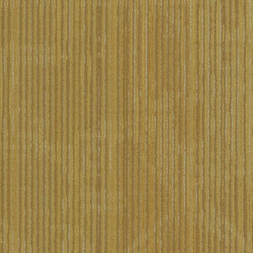 Picture of Philadelphia Commercial by Shaw - Encrypt 18 x 36 Vector