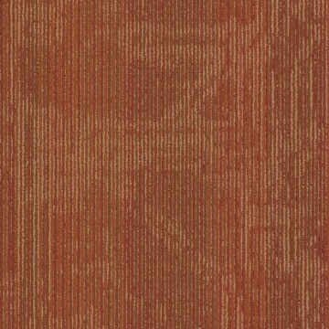 Picture of Philadelphia Commercial by Shaw - Encrypt 18 x 36 Electro