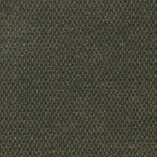 Picture of Philadelphia Commercial by Shaw - Succession Wintergreen