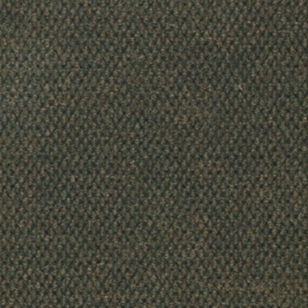 Picture of Philadelphia Commercial by Shaw - Succession Wintergreen