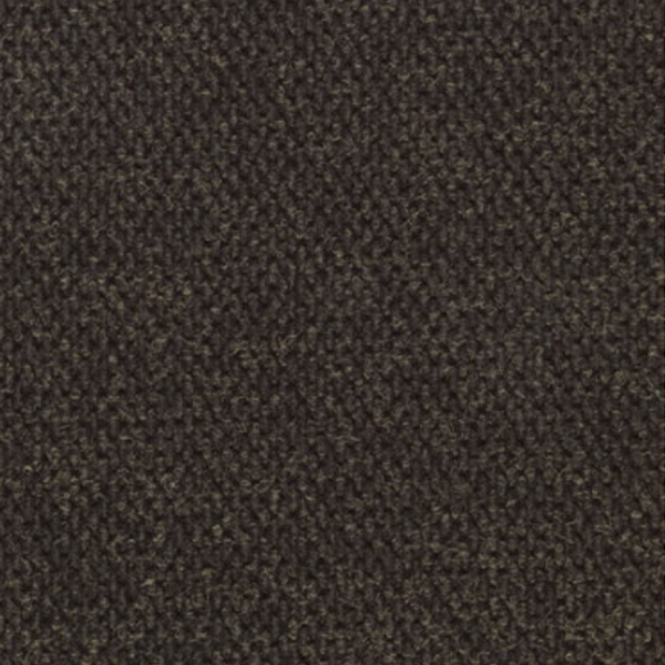 Picture of Philadelphia Commercial by Shaw - Succession Pebble