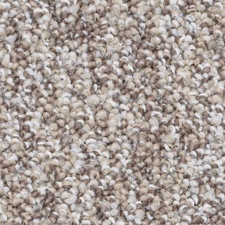 Picture of Philadelphia Commercial by Shaw - New Decade Control