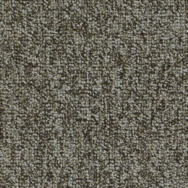 Picture of Philadelphia Commercial by Shaw - Abundance Cluster