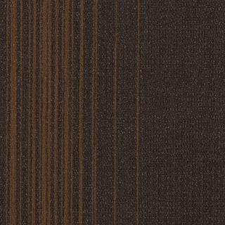 Picture of Philadelphia Commercial by Shaw - Realign Alter