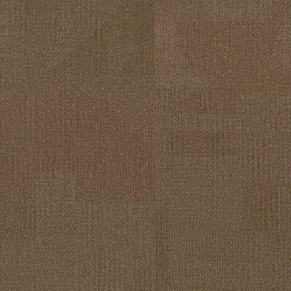 Picture of Philadelphia Commercial by Shaw - Reemerge Evolve