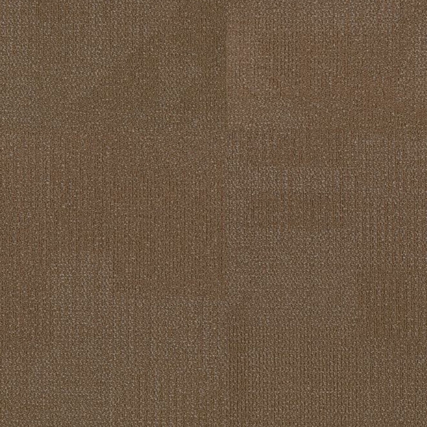 Picture of Philadelphia Commercial by Shaw - Reemerge Evolve