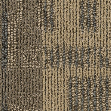 Picture of Philadelphia Commercial by Shaw - Exceptional Reality TV