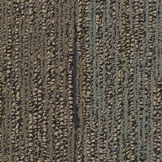 Picture of Philadelphia Commercial by Shaw - Distinguished Talk Show