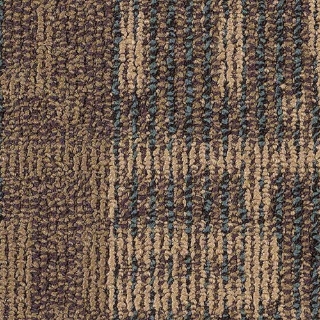 Picture of Philadelphia Commercial by Shaw - Intermix Amalgamate