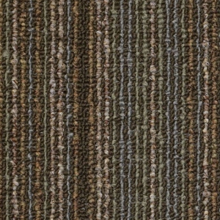 Picture of Philadelphia Commercial by Shaw - SP210 Energize