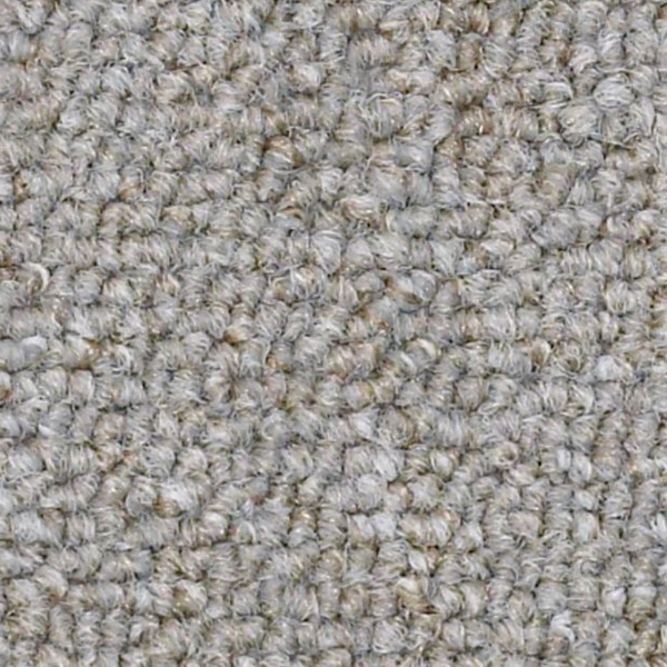 Picture of Philadelphia Commercial by Shaw - SP309 Power Play