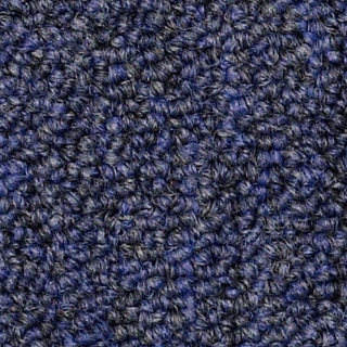 Picture of Philadelphia Commercial by Shaw - SP309 Executor