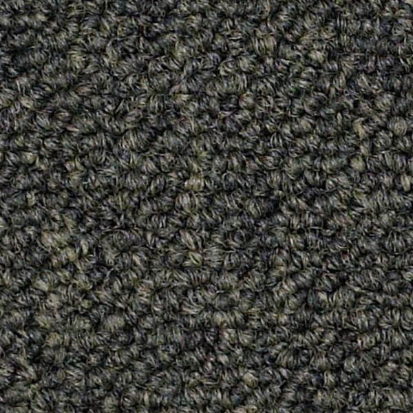 Picture of Philadelphia Commercial by Shaw - SP309 Official Office