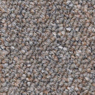 Picture of Philadelphia Commercial by Shaw - SP310 Advisor