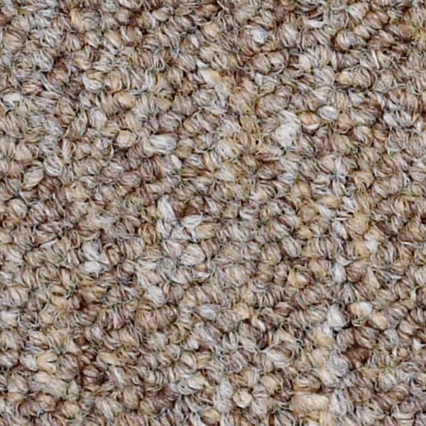 Picture of Philadelphia Commercial by Shaw - SP310 Mentor