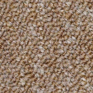 Picture of Philadelphia Commercial by Shaw - SP310 Project Fee