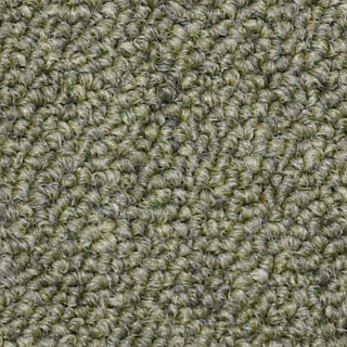 Picture of Philadelphia Commercial by Shaw - SP310 Presentation