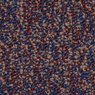 Picture of Philadelphia Commercial by Shaw - SP404 Exercise