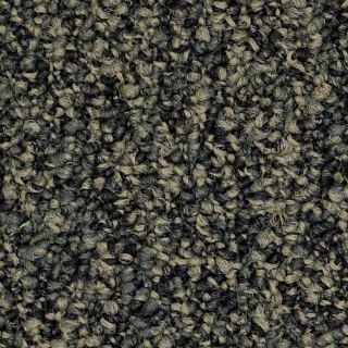 Picture of Philadelphia Commercial by Shaw - SP404 Hold The Line