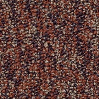 Picture of Philadelphia Commercial by Shaw - SP405 Dynamic