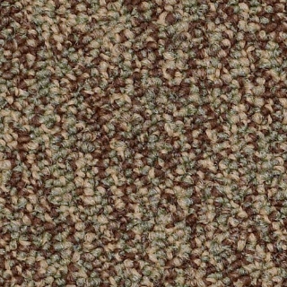 Picture of Philadelphia Commercial by Shaw - SP405 Achievement